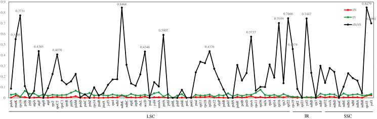 Fig. 6