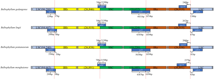 Fig. 4