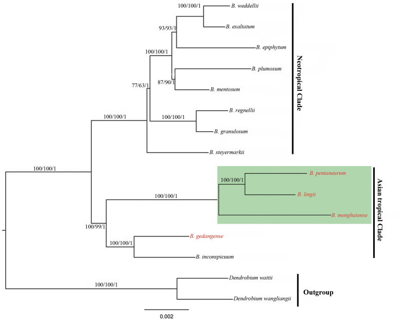 Fig. 7