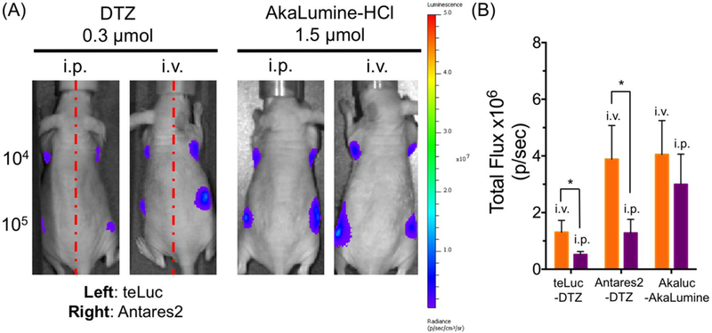 Figure 9.