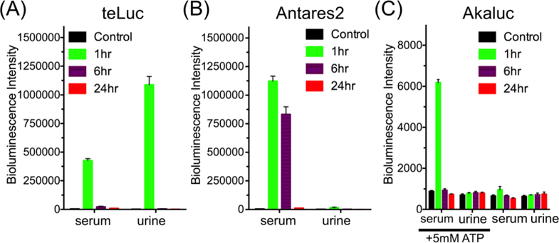 Figure 5.