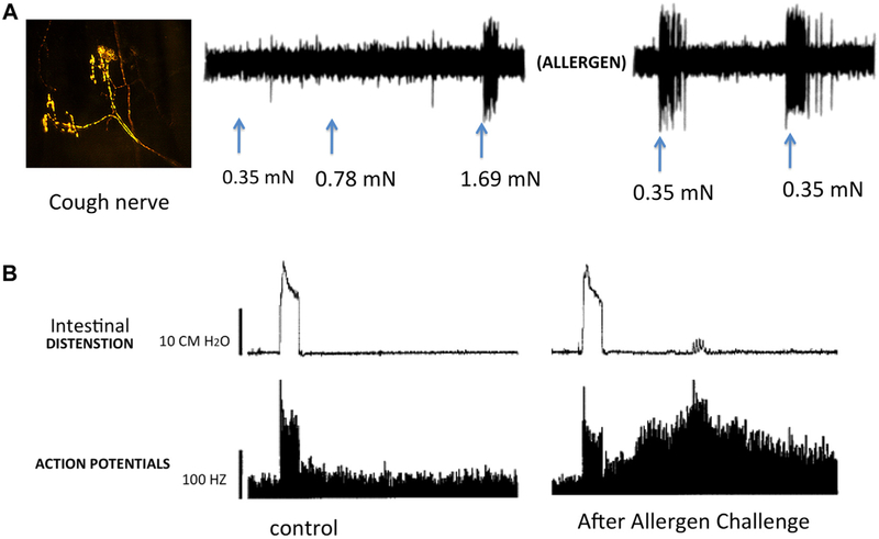 FIG 4.