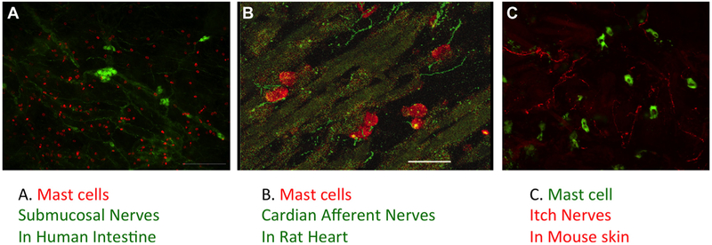 FIG 2.