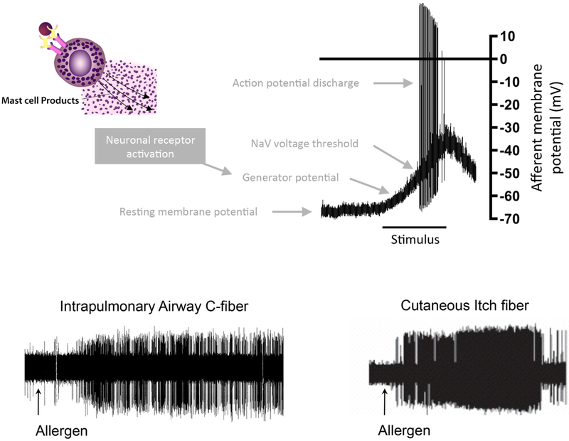 FIG 3.