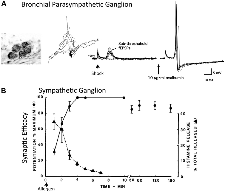 FIG 7.
