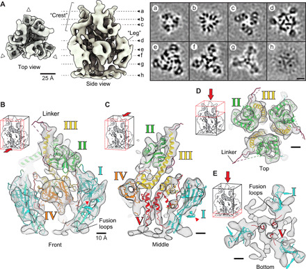 Fig. 4