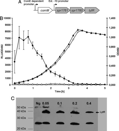 FIG. 1.