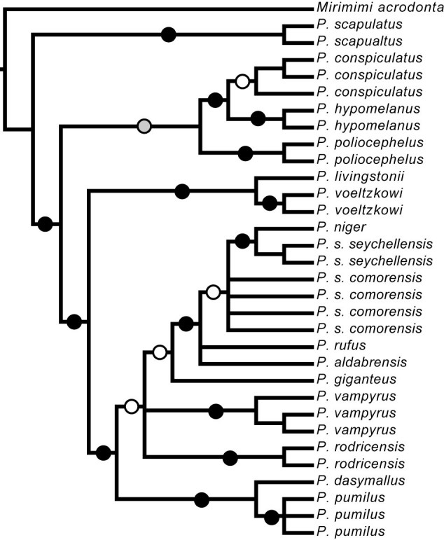 graphic file with name figure2obrien_1_.jpg