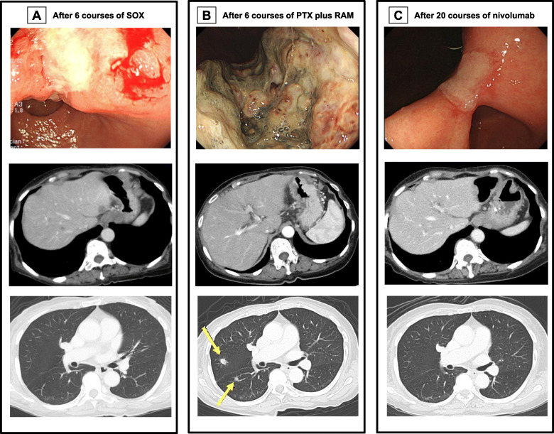 Fig. 3