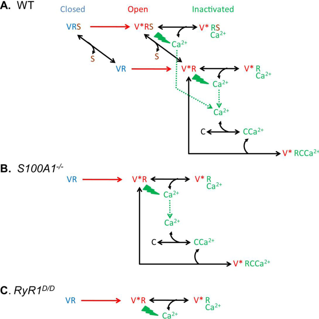 Fig.4