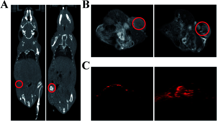 Fig. 11