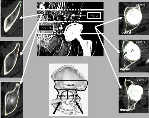 Fig. 3