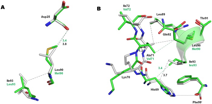 Fig 5