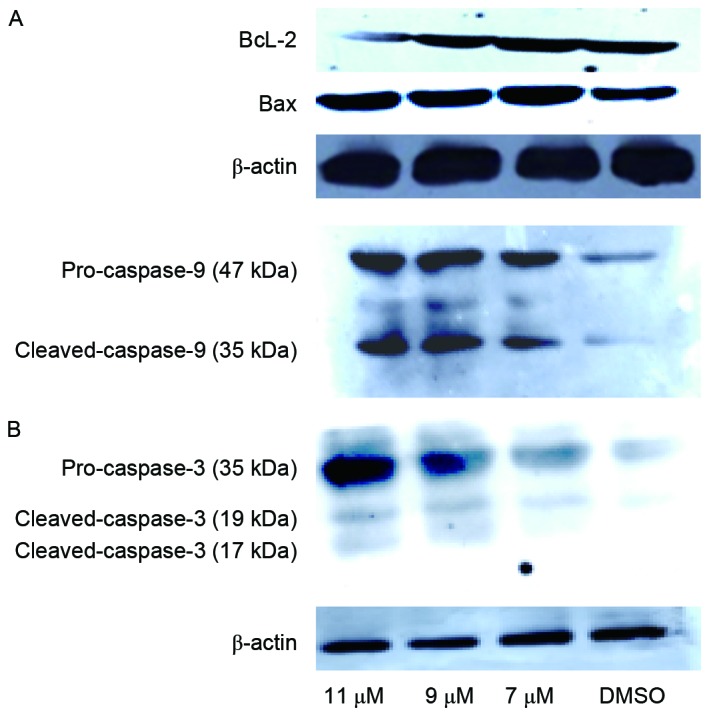 Figure 3.