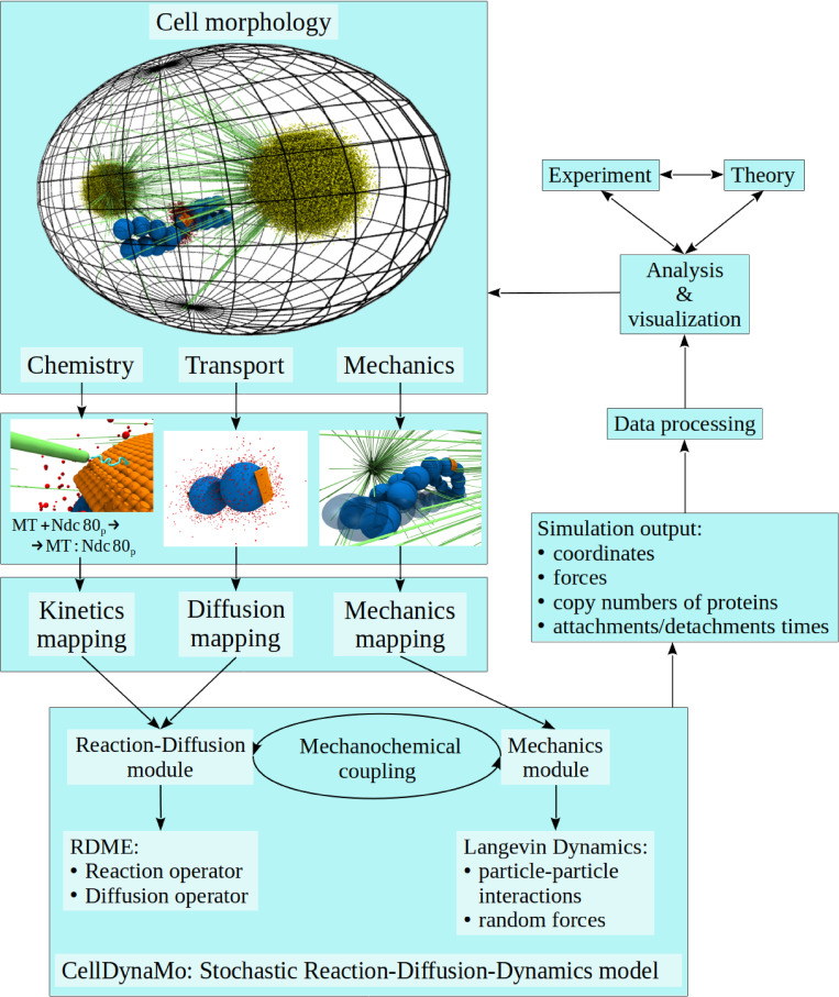 Fig 3