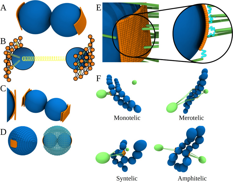 Fig 2