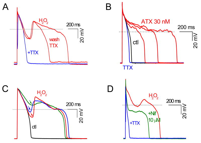 Fig. 7