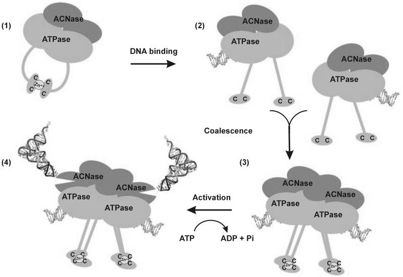 Figure 7.