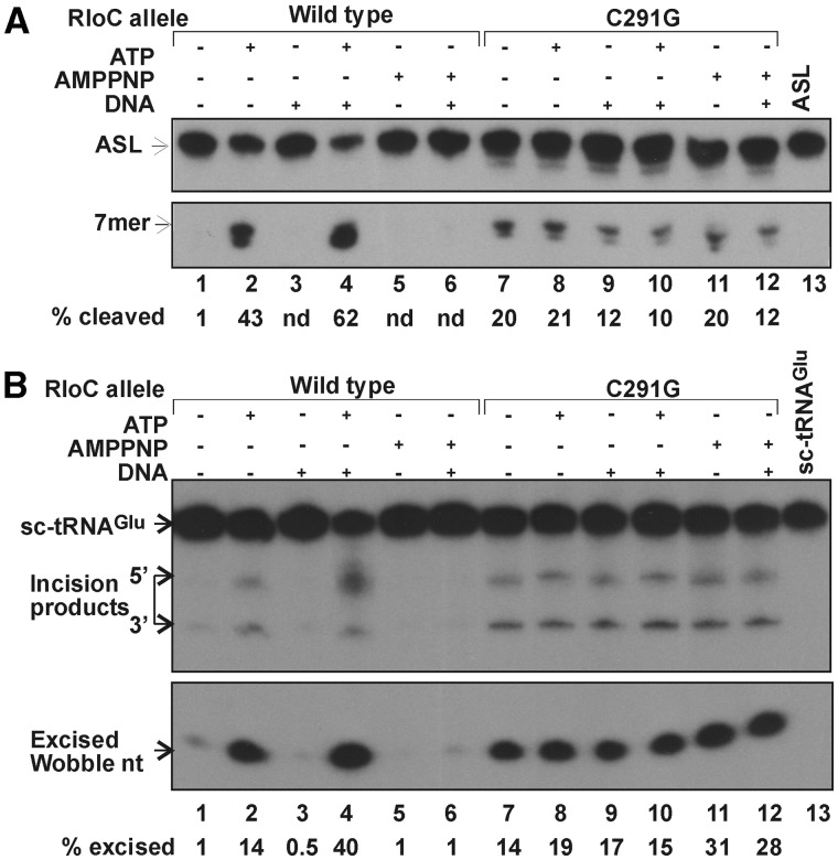 Figure 6.