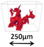 graphic file with name molecules-28-05257-i001.jpg