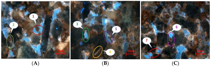 Figure 21