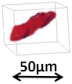 graphic file with name molecules-28-05257-i003.jpg