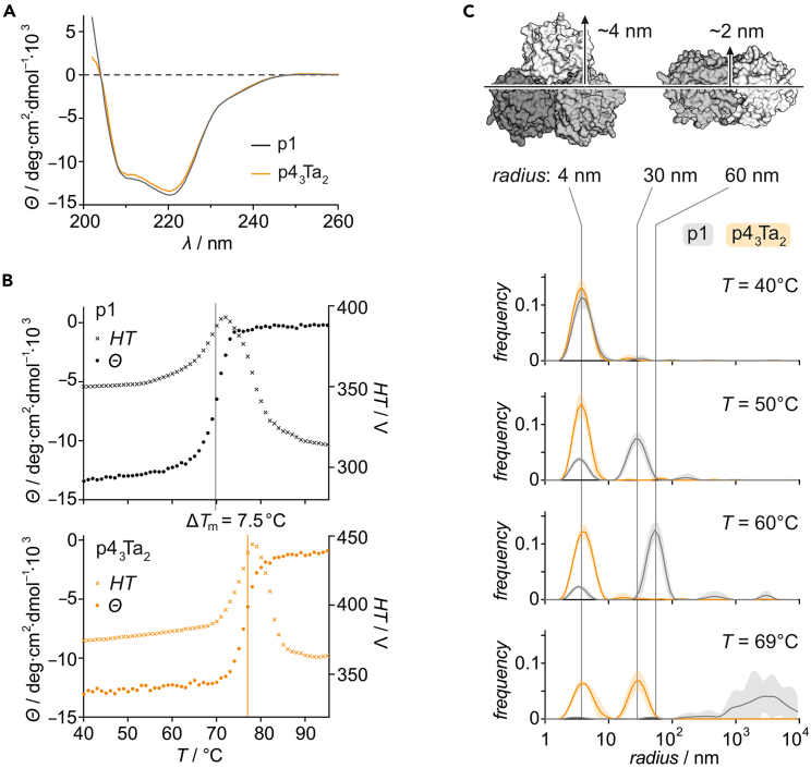 Figure 3