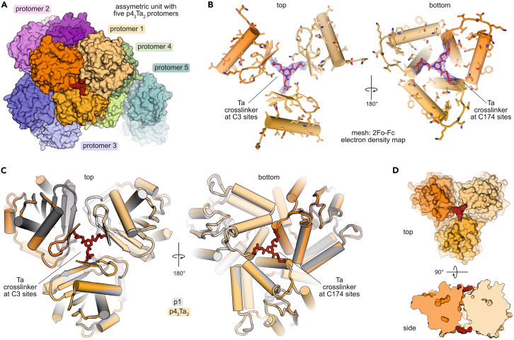 Figure 4