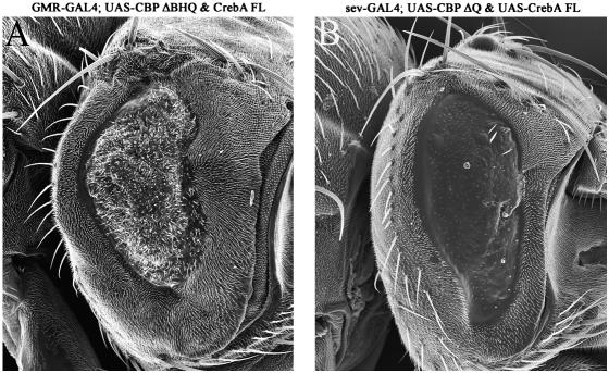 Figure 12.