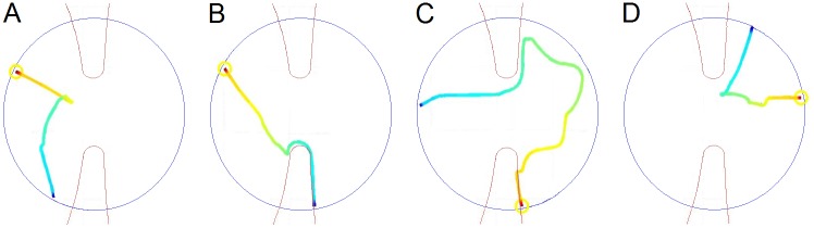 Fig 2