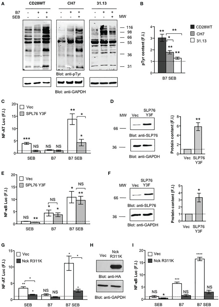 Figure 6