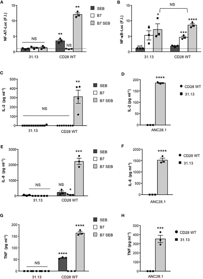 Figure 5