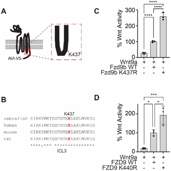 Figure 2: