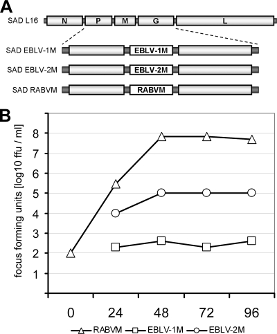 FIG. 2.