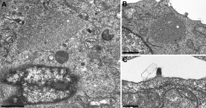 FIG. 7.