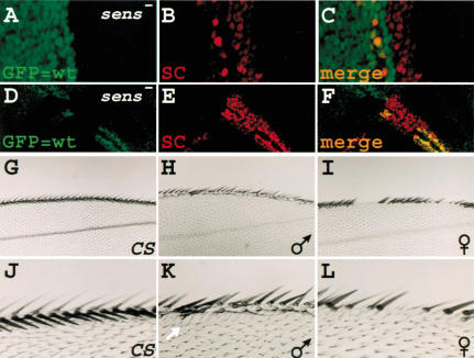 Figure 7.