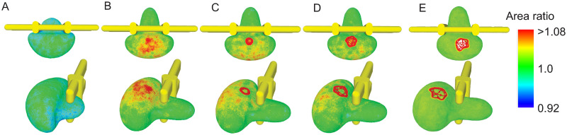 Fig 5