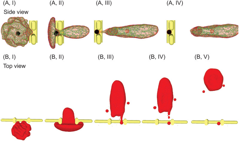 Fig 3