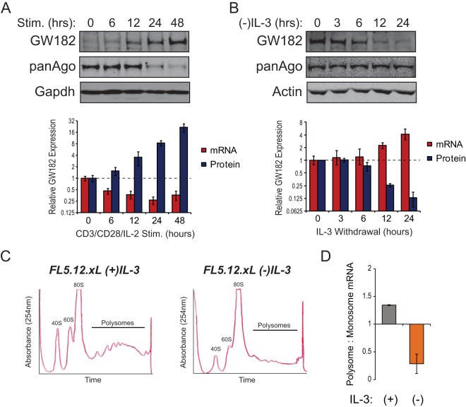 FIG 1