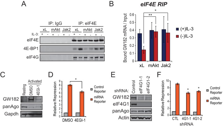 FIG 6