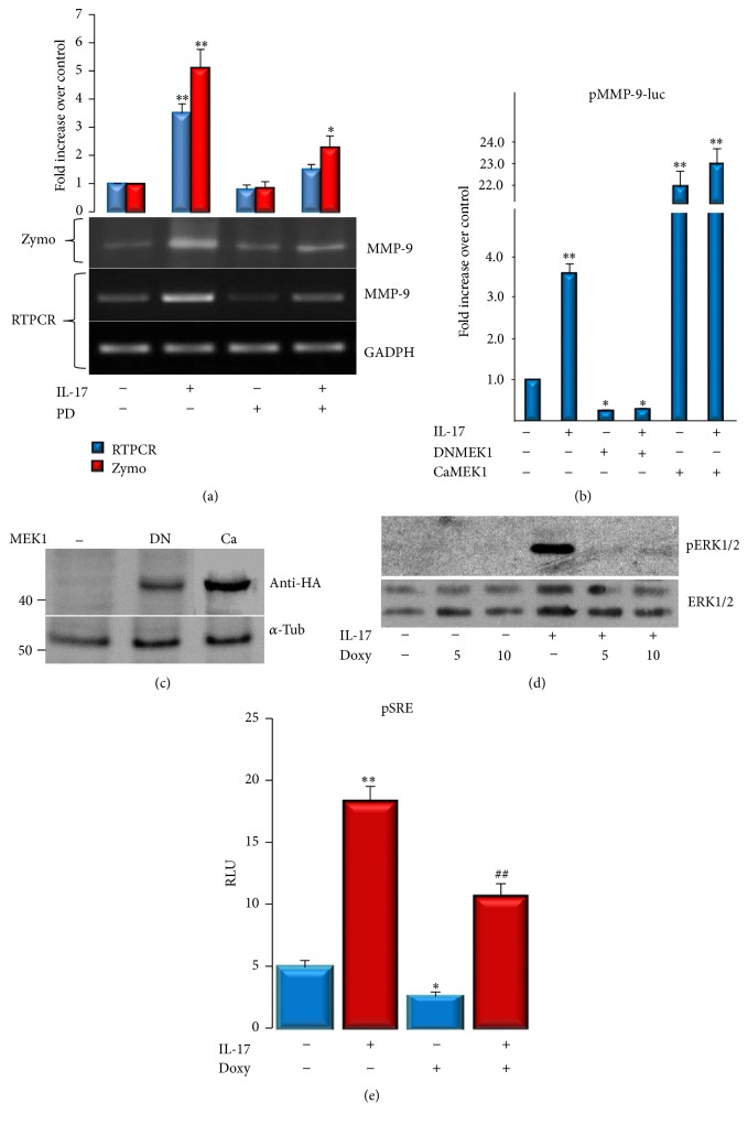 Figure 5