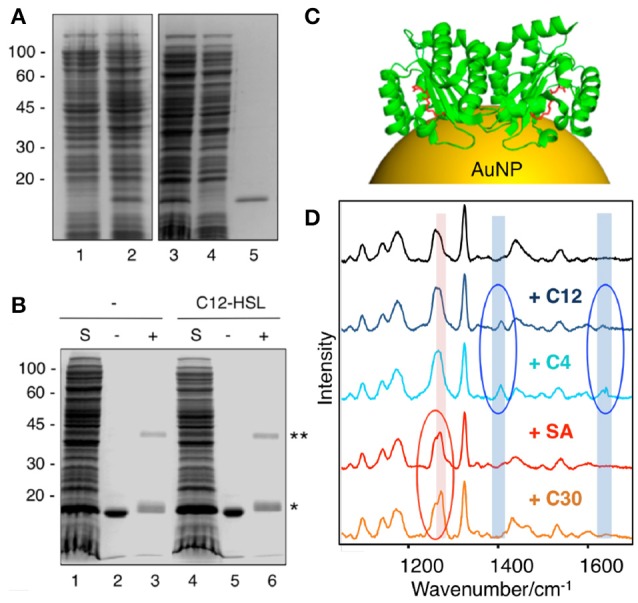 Figure 10