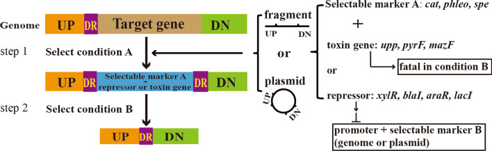 Fig. 2