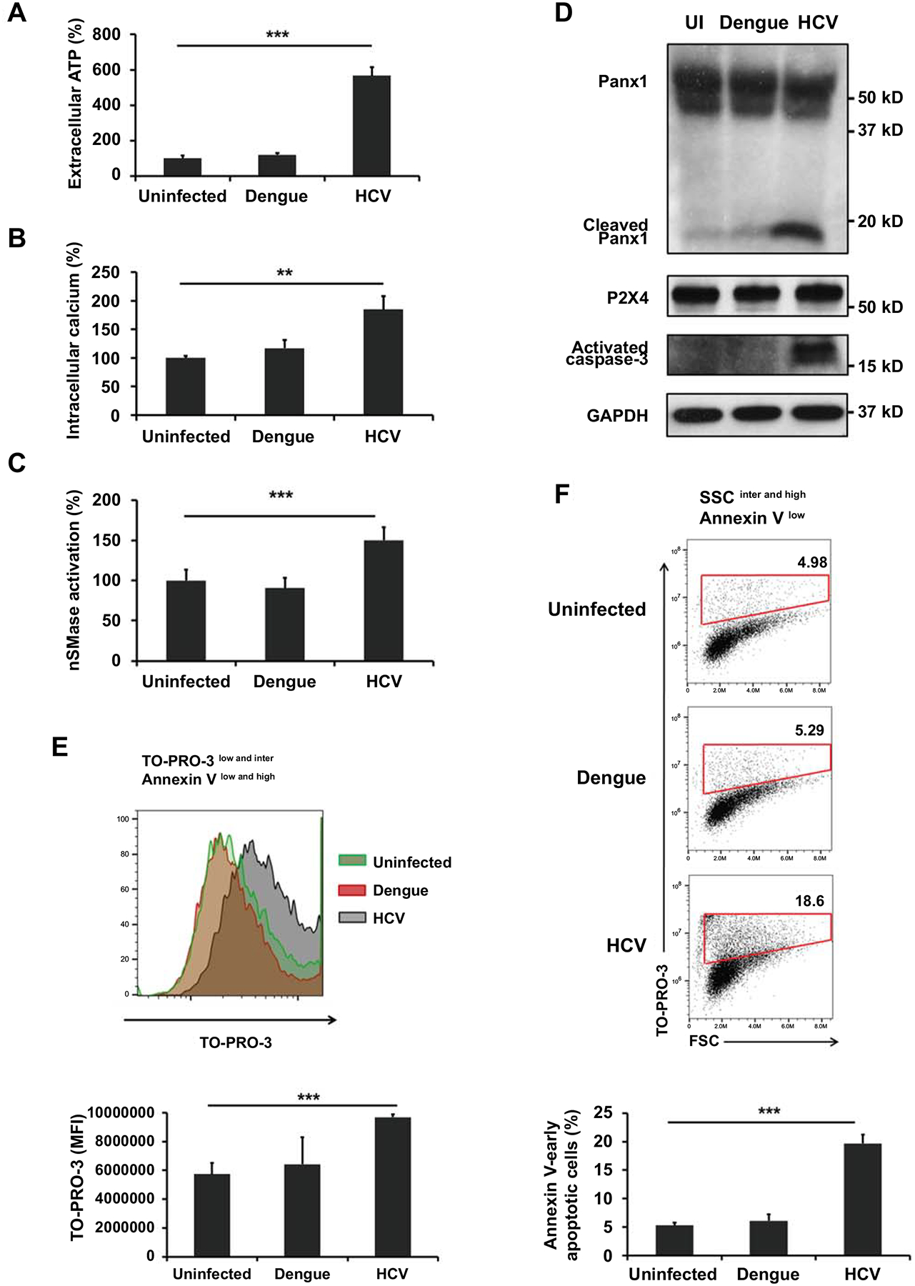 Fig 3.