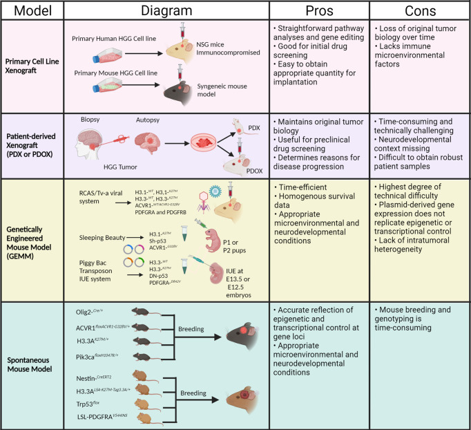 Figure 2