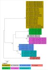 Fig 3