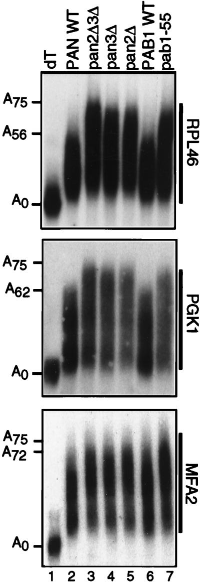 FIG. 5