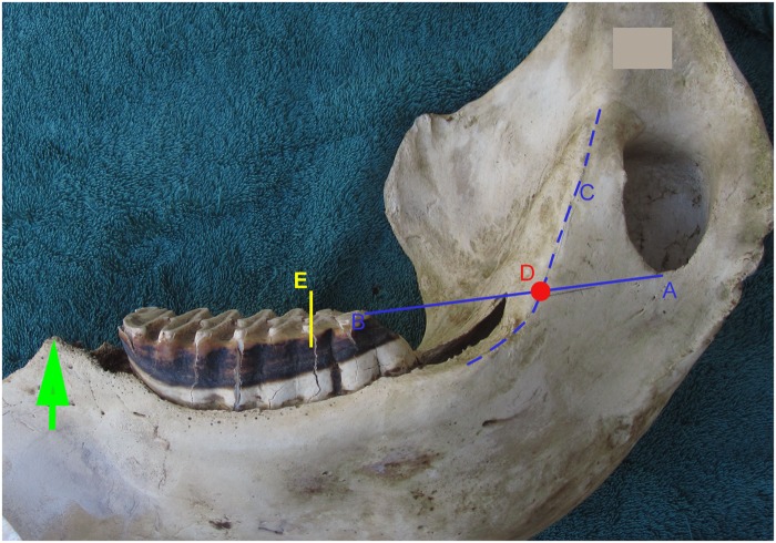 Fig 2