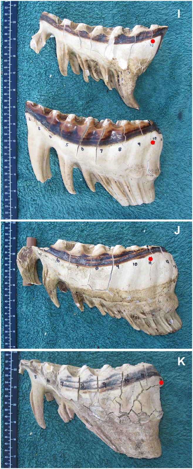 Fig 11