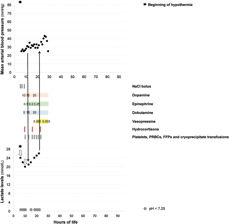 Fig. 4